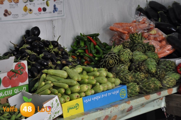 markaz khodare 3 (11).JPG